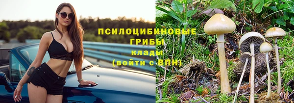 амф Чекалин