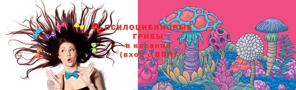 дживик Чердынь