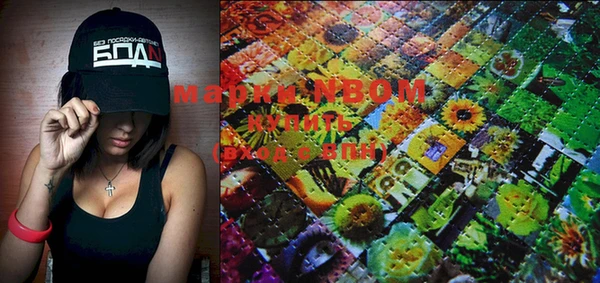 амф Чекалин