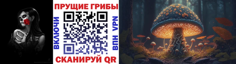 Купить закладки  Абинск  Галлюциногенные грибы Magic Shrooms 